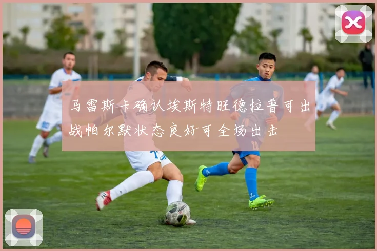 马雷斯卡确认埃斯特旺德拉普可出战帕尔默状态良好可全场出击