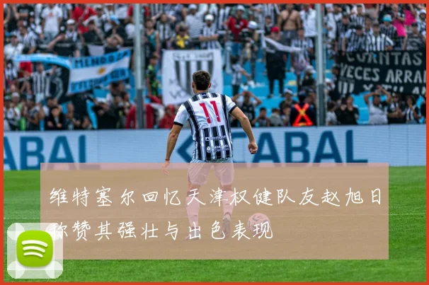 维特塞尔回忆天津权健队友赵旭日称赞其强壮与出色表现