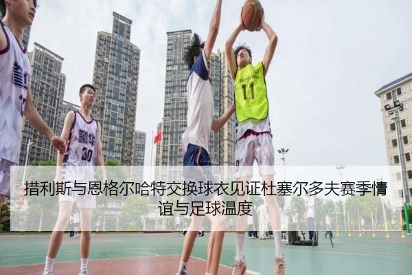 措利斯与恩格尔哈特交换球衣见证杜塞尔多夫赛季情谊与足球温度（kaiyun）